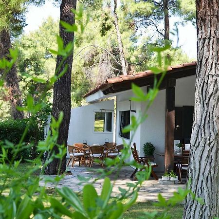Villa Irini In Sani Sani  Ngoại thất bức ảnh
