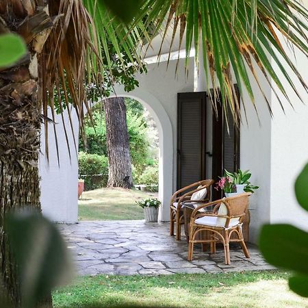 Villa Irini In Sani Sani  Ngoại thất bức ảnh