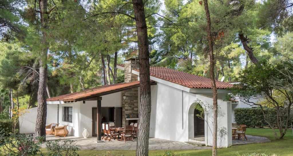 Villa Irini In Sani Sani  Ngoại thất bức ảnh