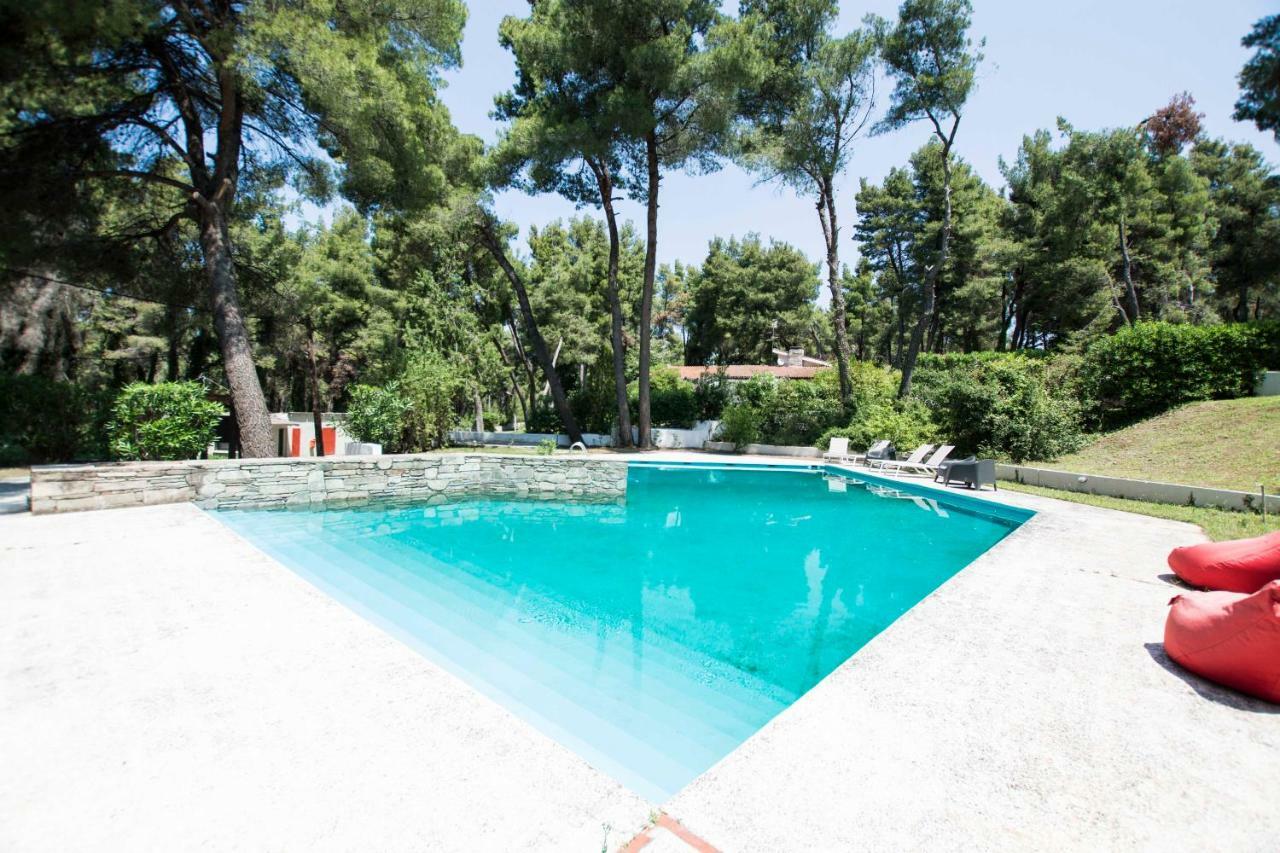 Villa Irini In Sani Sani  Ngoại thất bức ảnh