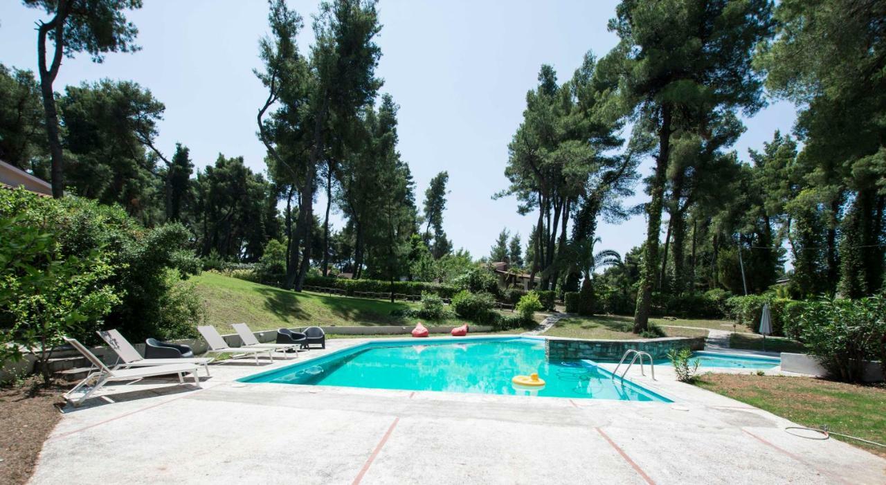 Villa Irini In Sani Sani  Ngoại thất bức ảnh