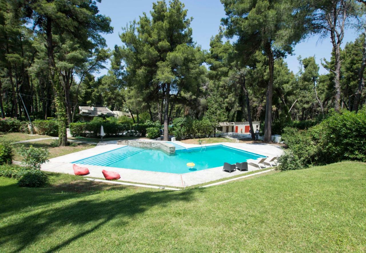 Villa Irini In Sani Sani  Ngoại thất bức ảnh