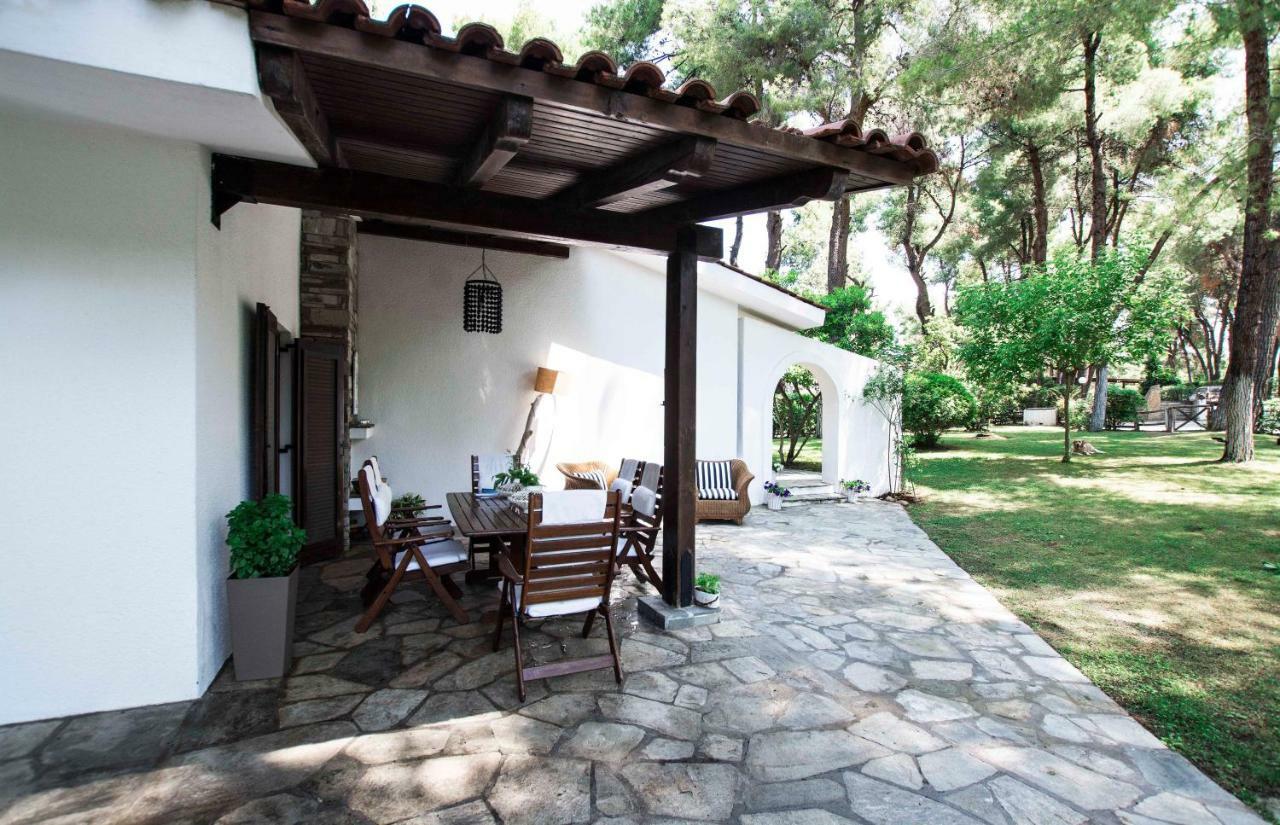 Villa Irini In Sani Sani  Ngoại thất bức ảnh