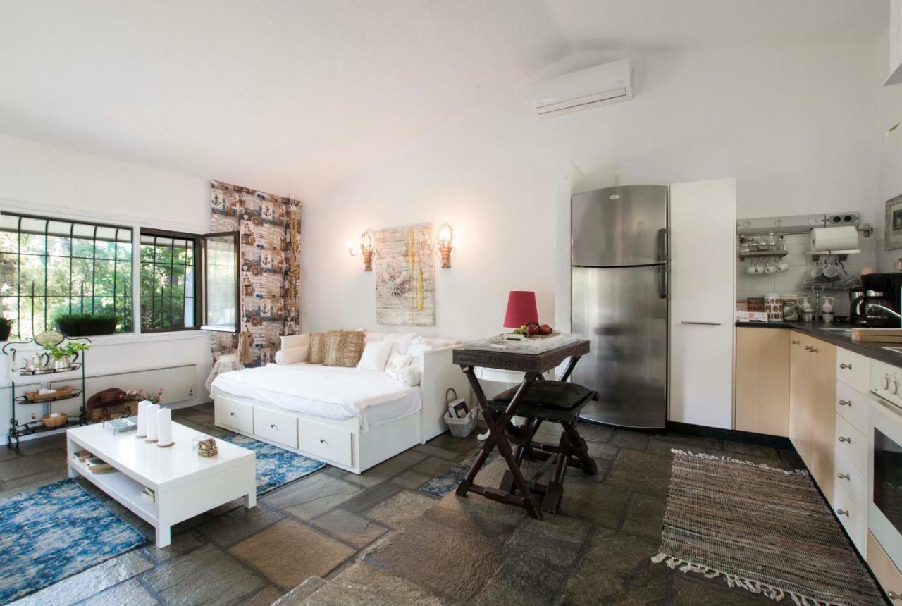 Villa Irini In Sani Sani  Ngoại thất bức ảnh