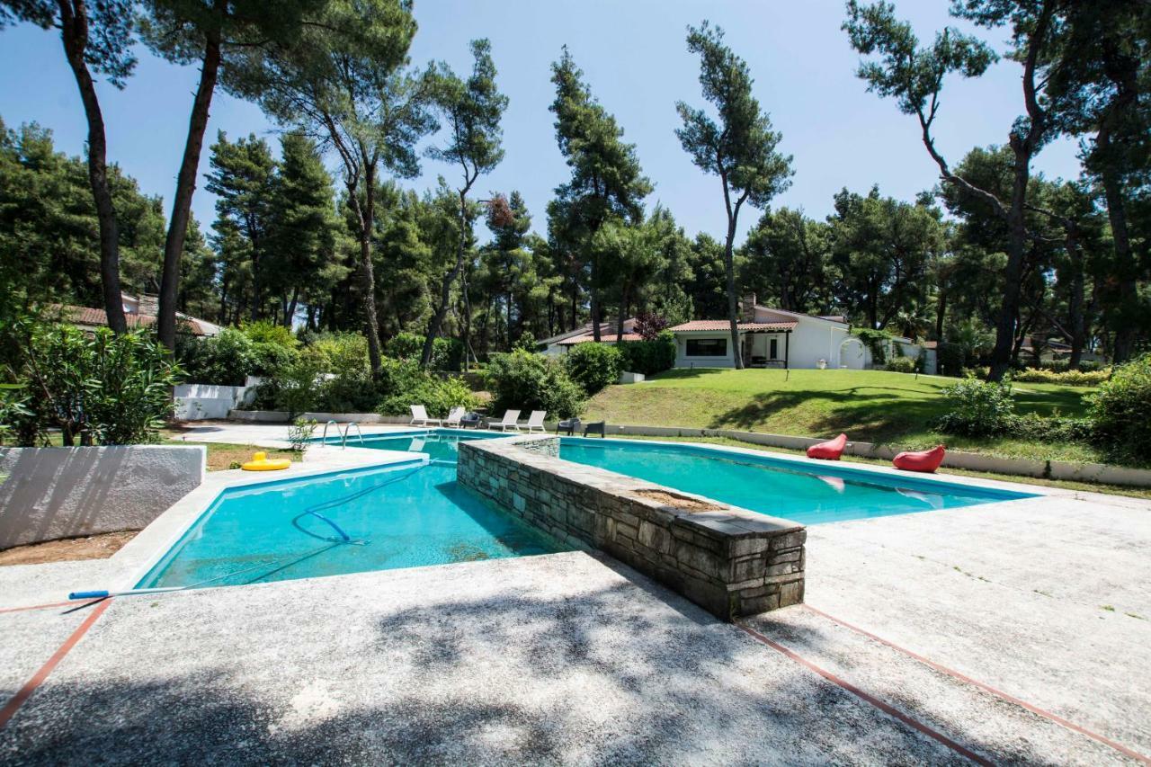 Villa Irini In Sani Sani  Ngoại thất bức ảnh