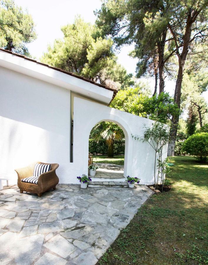 Villa Irini In Sani Sani  Ngoại thất bức ảnh