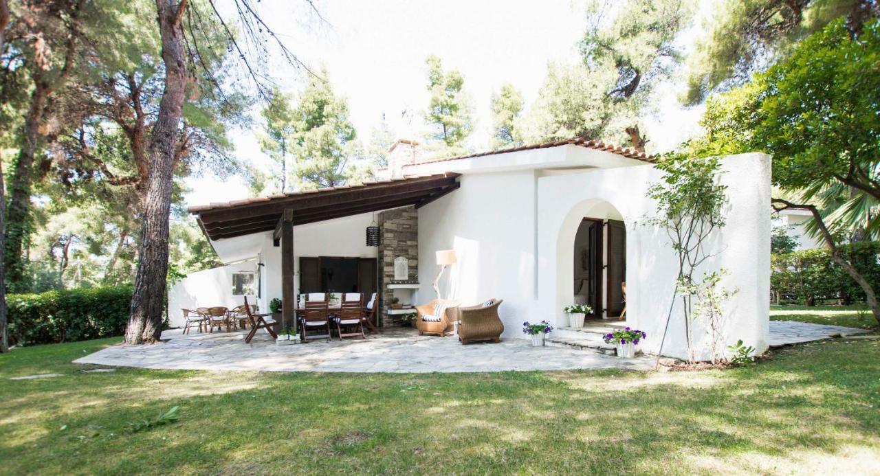 Villa Irini In Sani Sani  Ngoại thất bức ảnh