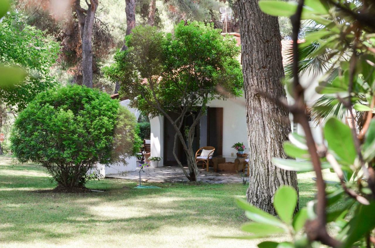 Villa Irini In Sani Sani  Ngoại thất bức ảnh