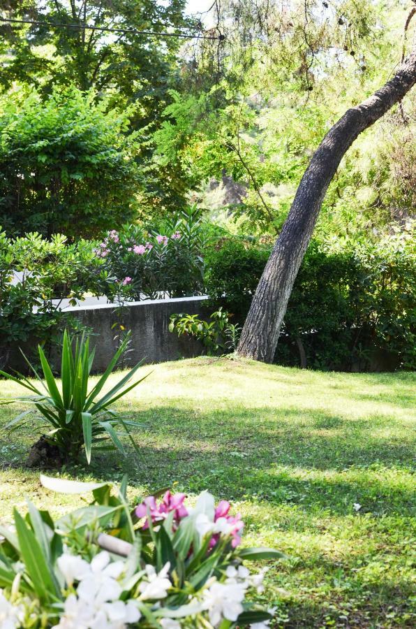 Villa Irini In Sani Sani  Ngoại thất bức ảnh